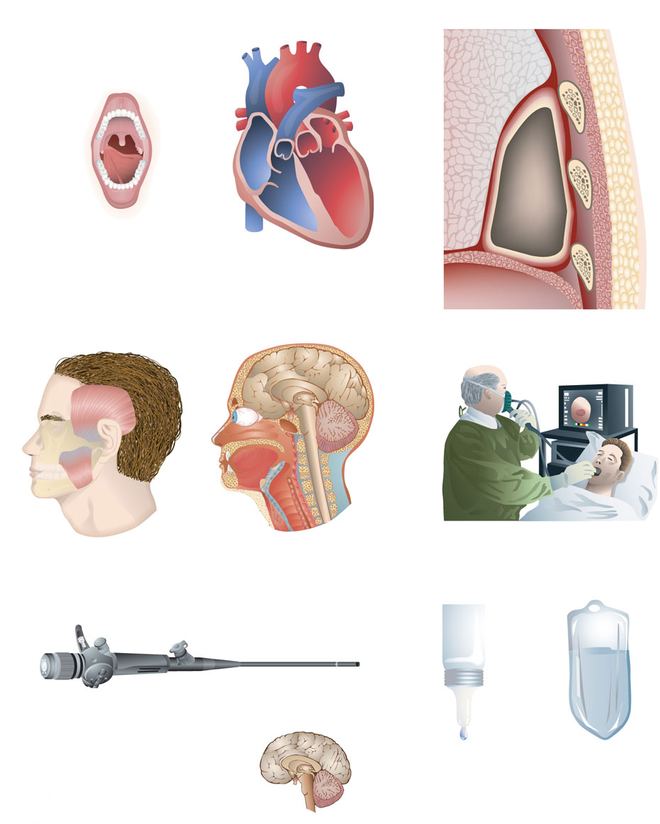 anatomy/medical drawings